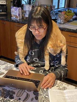 Какая же самоизоляция без котиков!