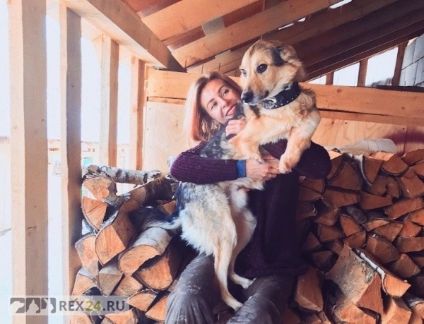 Москвичка променяла карьеру и славу, чтобы сделать собак счастливыми
Москвичка променяла карьеру и славу, чтобы сделать собак счастливыми