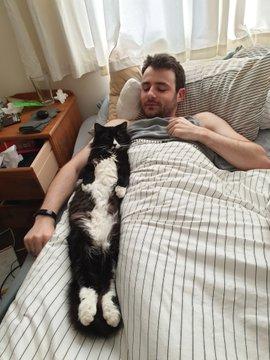 Какая же самоизоляция без котиков!