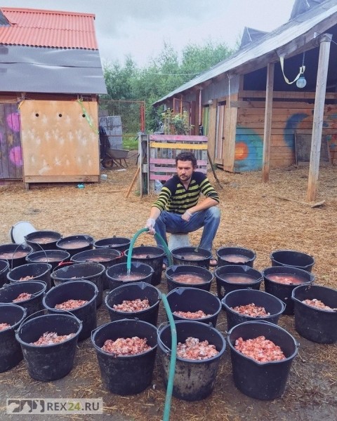 Москвичка променяла карьеру и славу, чтобы сделать собак счастливыми
Москвичка променяла карьеру и славу, чтобы сделать собак счастливыми