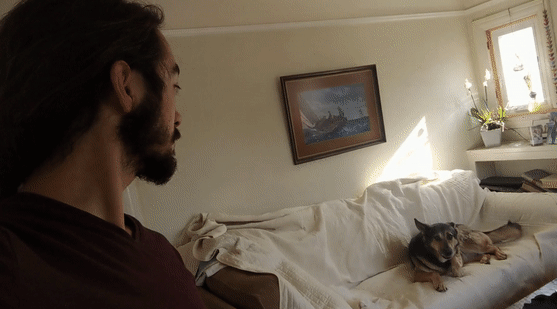 20+ животных, чья молчаливая поддержка оказалась лучше тысячи слов 20+ животных, чья молчаливая поддержка оказалась лучше тысячи слов