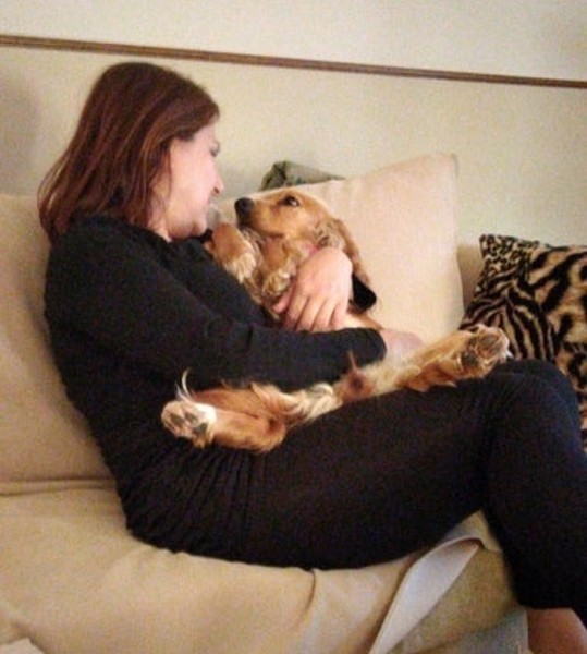 20+ животных, чья молчаливая поддержка оказалась лучше тысячи слов 20+ животных, чья молчаливая поддержка оказалась лучше тысячи слов