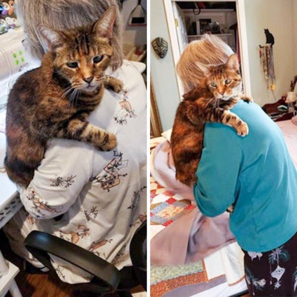 20+ животных, чья молчаливая поддержка оказалась лучше тысячи слов 20+ животных, чья молчаливая поддержка оказалась лучше тысячи слов