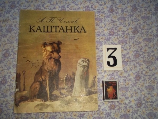 10 отличных книжек про котов и собак, которые нравятся и детям, и взрослым 10 отличных книжек про котов и собак, которые нравятся и детям, и взрослым