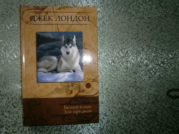 10 отличных книжек про котов и собак, которые нравятся и детям, и взрослым 10 отличных книжек про котов и собак, которые нравятся и детям, и взрослым