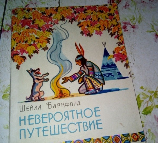 10 отличных книжек про котов и собак, которые нравятся и детям, и взрослым 10 отличных книжек про котов и собак, которые нравятся и детям, и взрослым