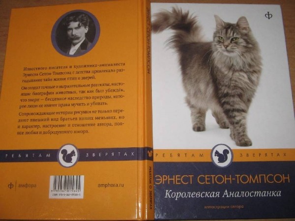 10 отличных книжек про котов и собак, которые нравятся и детям, и взрослым 10 отличных книжек про котов и собак, которые нравятся и детям, и взрослым