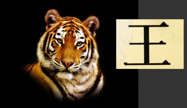 10 интересных фактов о тиграх 10 интересных фактов о тиграх