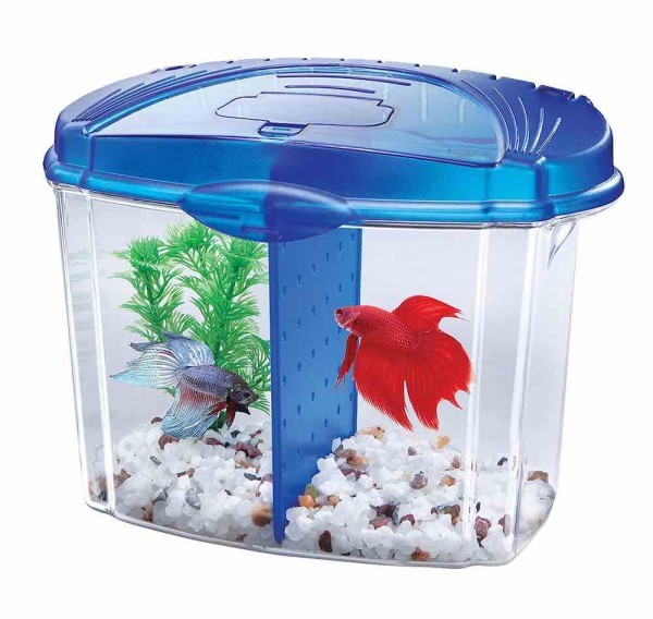 Как перевезти аквариумных рыбок – правила и советы Как перевезти аквариумных рыбок – правила и советы