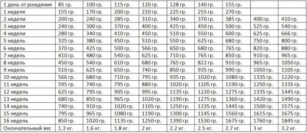 Вес шпица по месяцам, рост, таблица для померанского, мини и других видов Вес шпица по месяцам, рост, таблица для померанского, мини и других видов