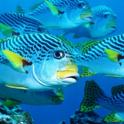 Есть мир такой красивый, волшебным кажется он нам (22 фото) Есть мир такой красивый, волшебным кажется он нам (22 фото)