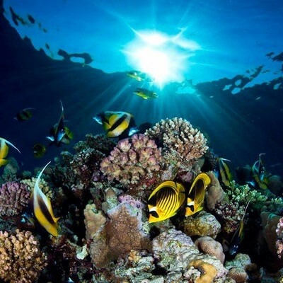 Есть мир такой красивый, волшебным кажется он нам (22 фото) Есть мир такой красивый, волшебным кажется он нам (22 фото)