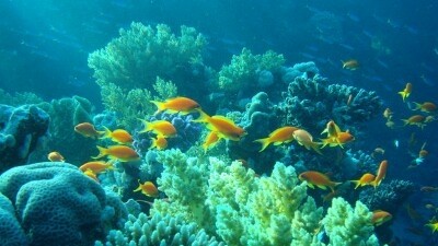 Есть мир такой красивый, волшебным кажется он нам (22 фото) Есть мир такой красивый, волшебным кажется он нам (22 фото)