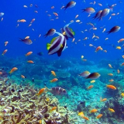 Есть мир такой красивый, волшебным кажется он нам (22 фото) Есть мир такой красивый, волшебным кажется он нам (22 фото)