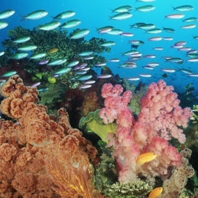 Есть мир такой красивый, волшебным кажется он нам (22 фото) Есть мир такой красивый, волшебным кажется он нам (22 фото)