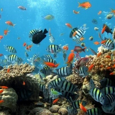 Есть мир такой красивый, волшебным кажется он нам (22 фото) Есть мир такой красивый, волшебным кажется он нам (22 фото)