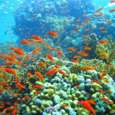 Есть мир такой красивый, волшебным кажется он нам (22 фото) Есть мир такой красивый, волшебным кажется он нам (22 фото)