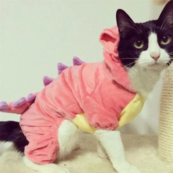 Хозяева наряжают питомцев в пижамы, курточки и штанишки как ценителей моды Хозяева наряжают питомцев в пижамы, курточки и штанишки как ценителей моды