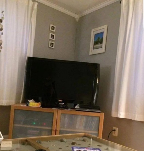 Котики и их забавные попытки слиться с окружением Котики и их забавные попытки слиться с окружением