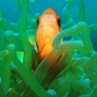 Есть мир такой красивый, волшебным кажется он нам (22 фото) Есть мир такой красивый, волшебным кажется он нам (22 фото)