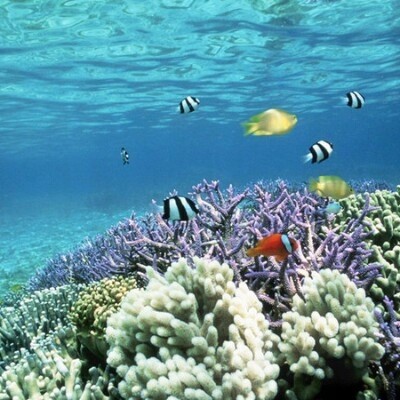 Есть мир такой красивый, волшебным кажется он нам (22 фото) Есть мир такой красивый, волшебным кажется он нам (22 фото)