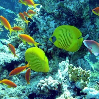 Есть мир такой красивый, волшебным кажется он нам (22 фото) Есть мир такой красивый, волшебным кажется он нам (22 фото)