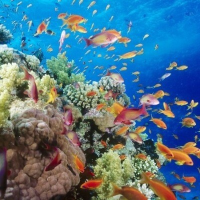 Есть мир такой красивый, волшебным кажется он нам (22 фото) Есть мир такой красивый, волшебным кажется он нам (22 фото)