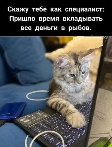 Котейки, которые вызовут улыбку (30 фото)