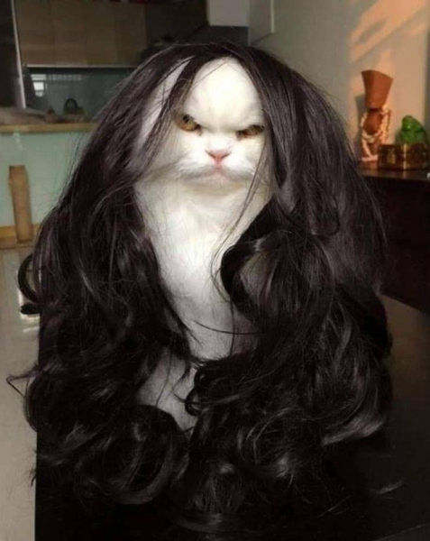 Настроение и эмоции в фотографиях с четвероногими любимцами (30 фото) Настроение и эмоции в фотографиях с четвероногими любимцами (30 фото)