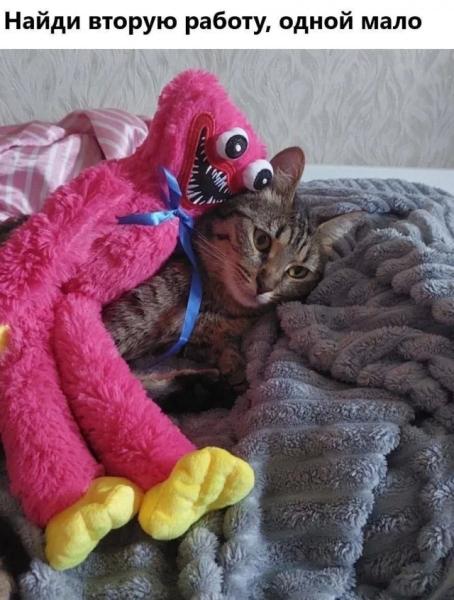 Кото-баяны Кото-баяны