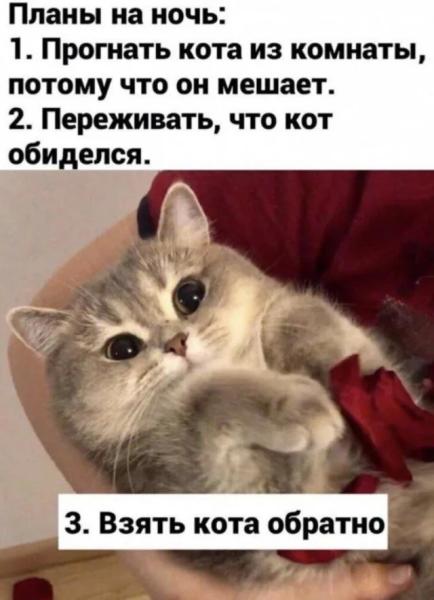 Кото-баяны Кото-баяны