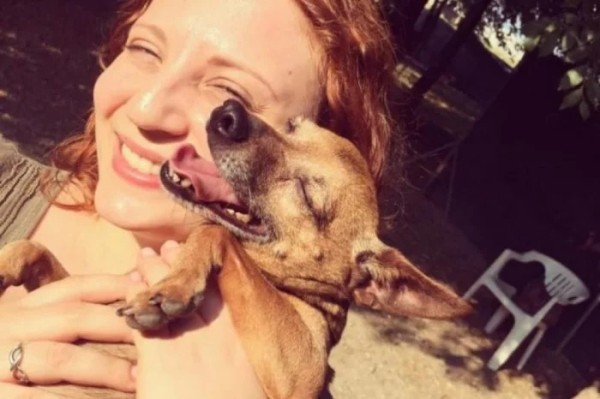 Истории обретённого счастья в виде пёселей на снимках Истории обретённого счастья в виде пёселей на снимках