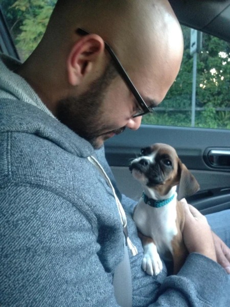 Истории обретённого счастья в виде пёселей на снимках Истории обретённого счастья в виде пёселей на снимках