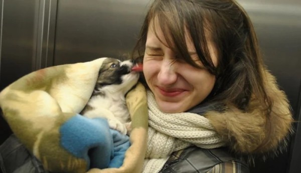 Истории обретённого счастья в виде пёселей на снимках Истории обретённого счастья в виде пёселей на снимках