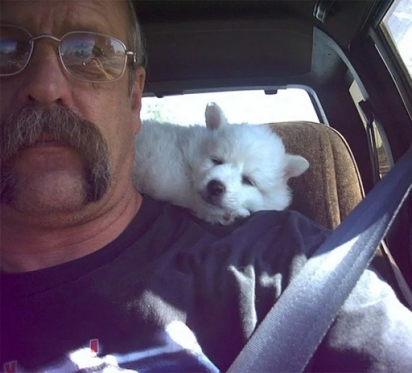 Истории обретённого счастья в виде пёселей на снимках Истории обретённого счастья в виде пёселей на снимках