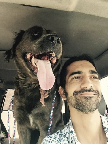 Истории обретённого счастья в виде пёселей на снимках Истории обретённого счастья в виде пёселей на снимках