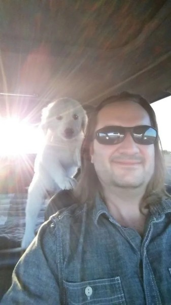 Истории обретённого счастья в виде пёселей на снимках Истории обретённого счастья в виде пёселей на снимках