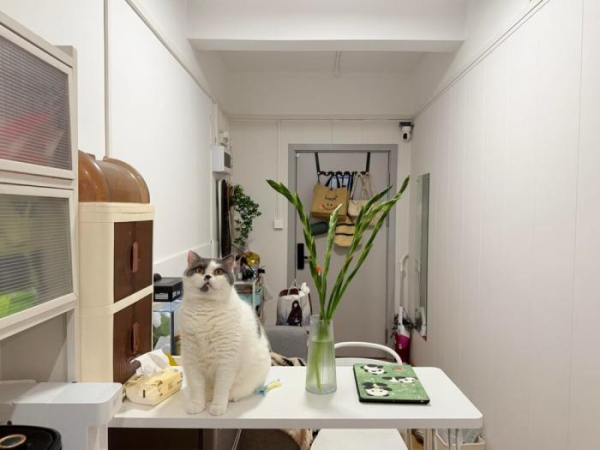 Котеньки (30 фото)